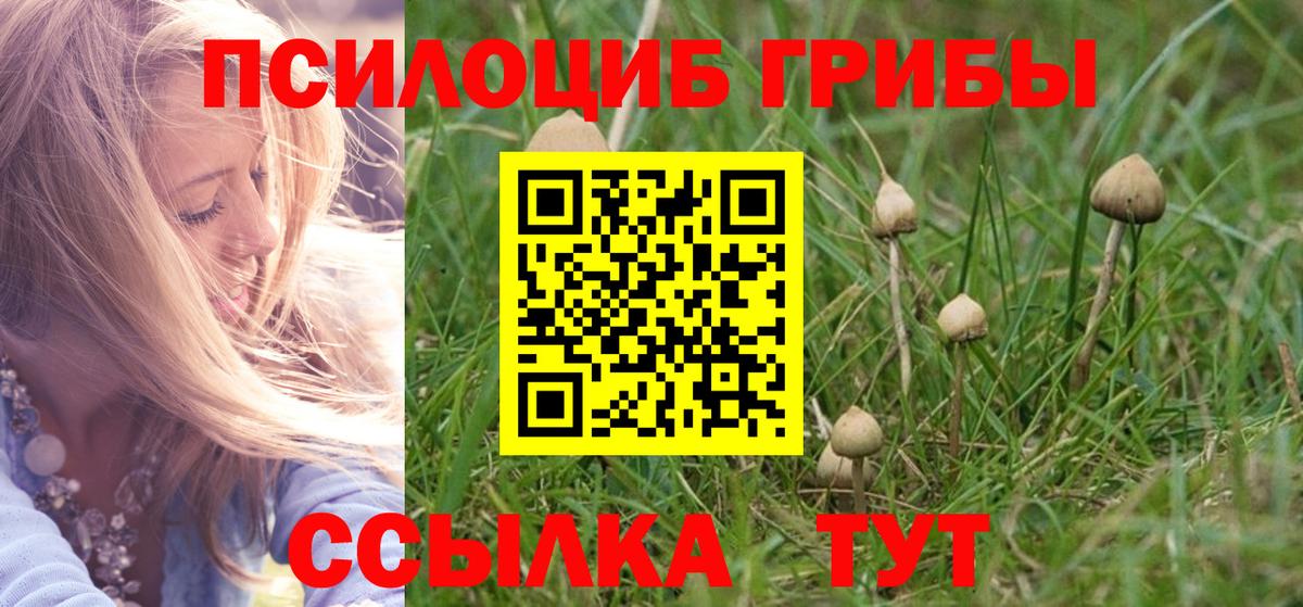 Псилоцибиновые грибы Magic Shrooms Гатчина