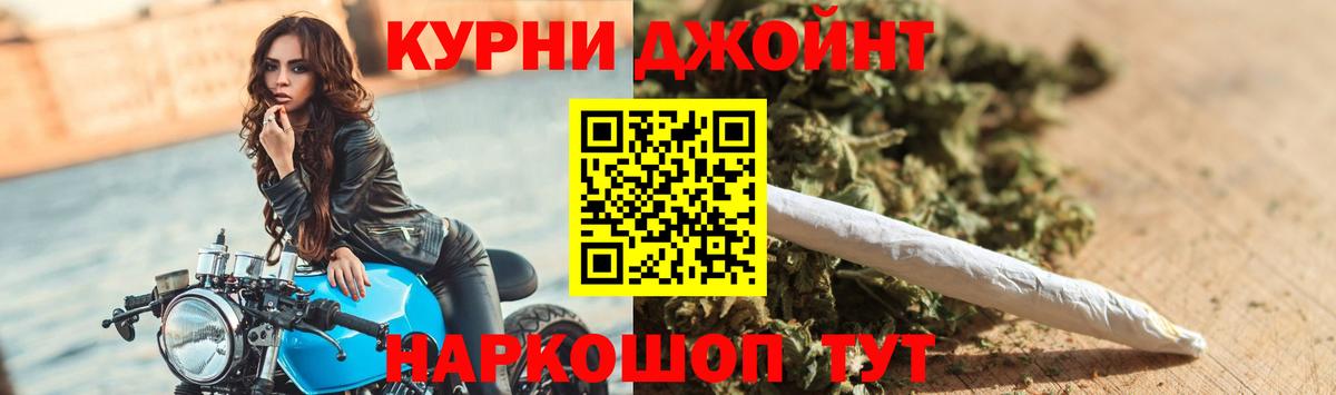Конопля индика Гатчина